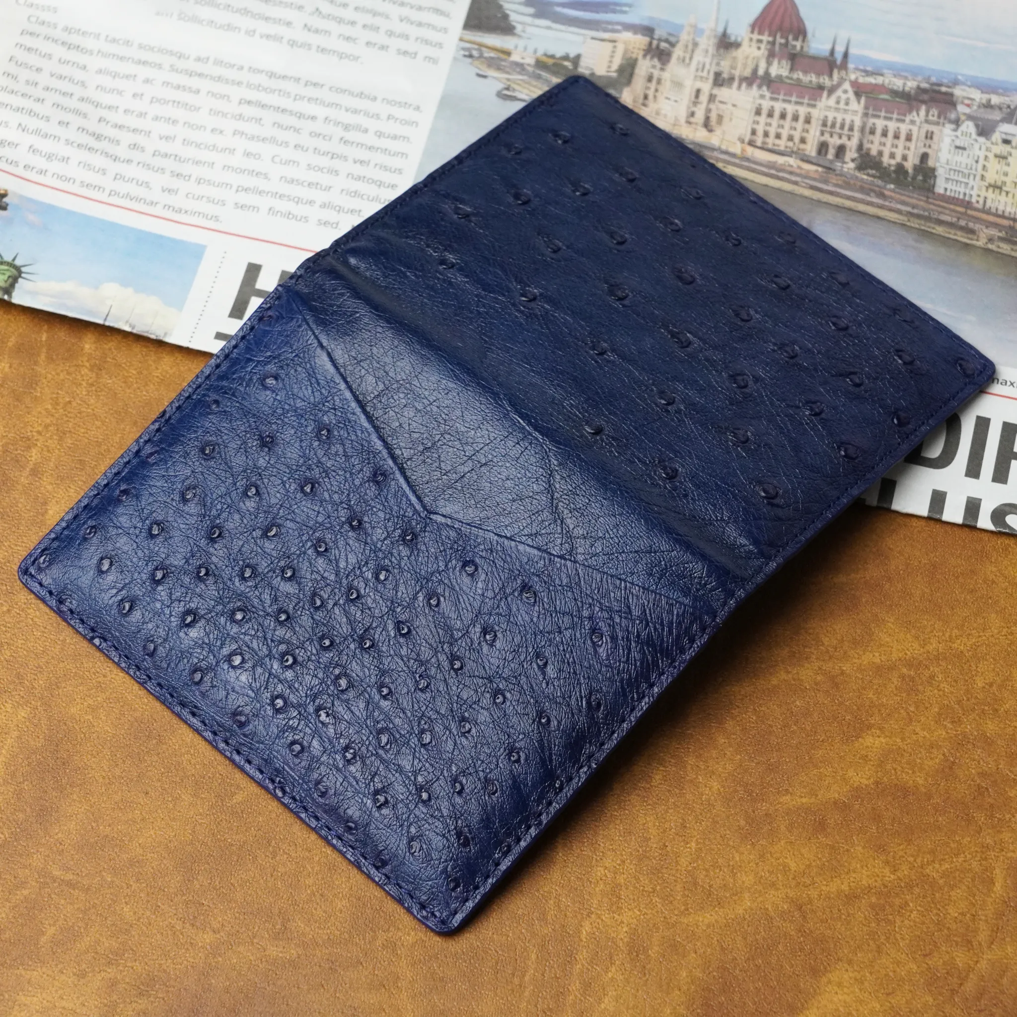 Blue Double Side Ostrich Leather Credit Card Holder | RFID Blocking | CARDOS-04