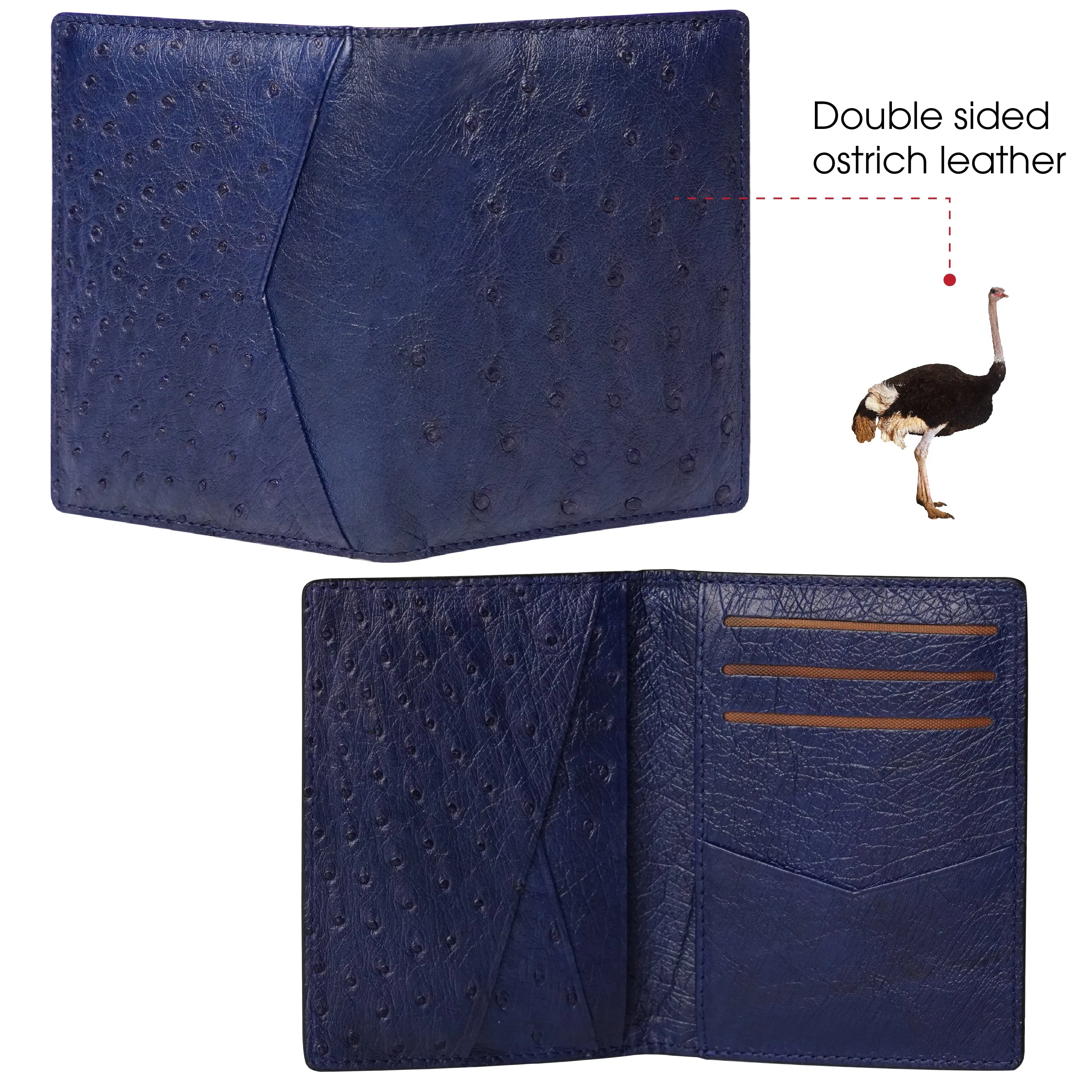 Blue Double Side Ostrich Leather Credit Card Holder | RFID Blocking | CARDOS-04