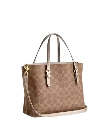 Coach Mollie Tote Bag 25 In Signature Canvas