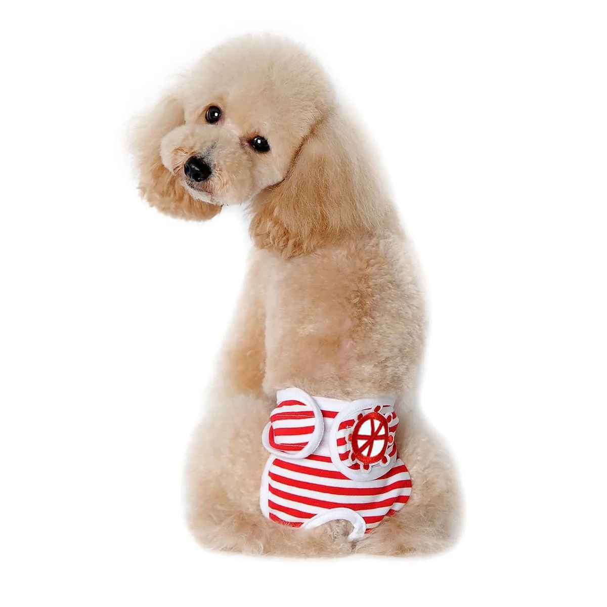 Creative Washable Dog Diaper