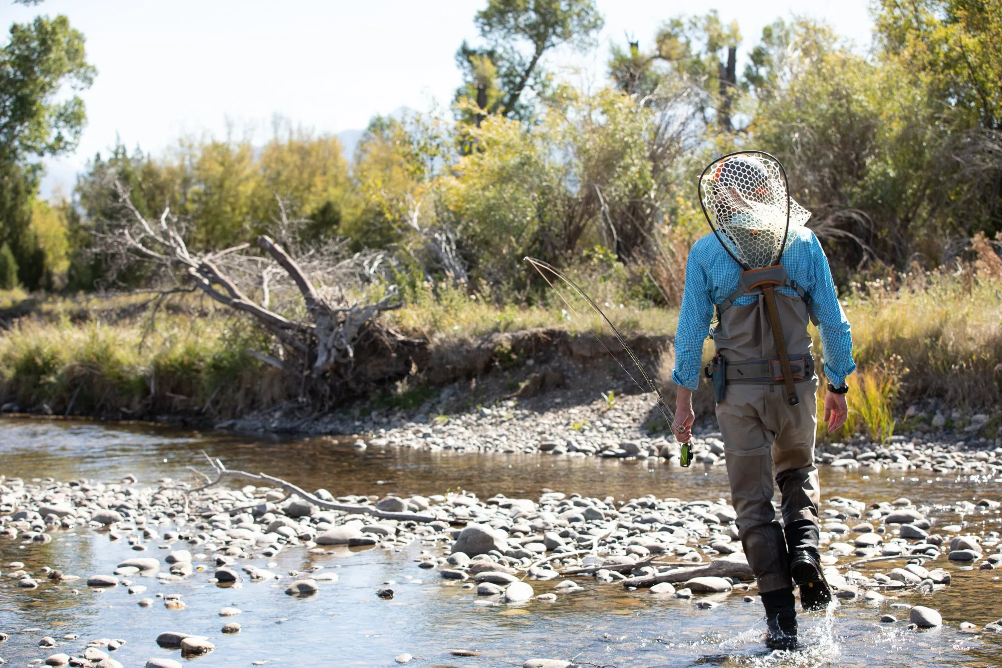 Fishpond Canyon Creek Chest Pack