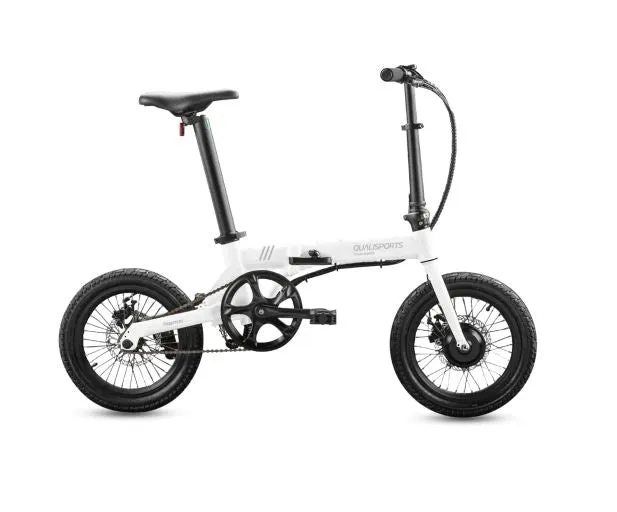 Nemo by Qualisports 250w 36v Foldable Electric Bike