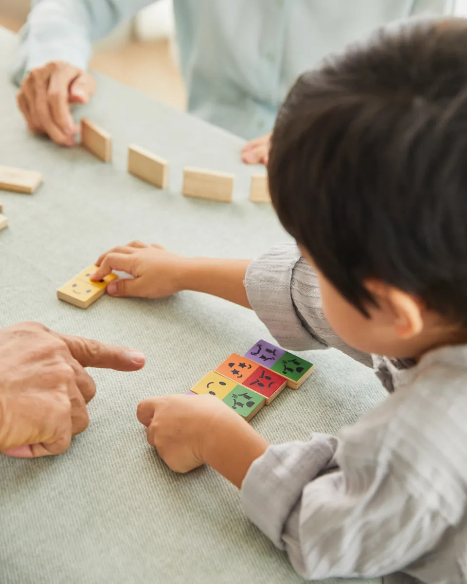 PlanToys Mood Dominos Set