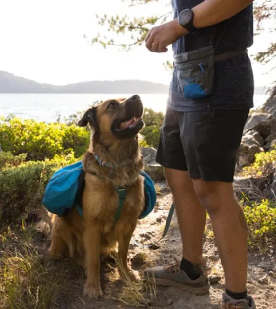 Ruffwear Treat Trader™ Dog Treat Pouch (Blue Pool)