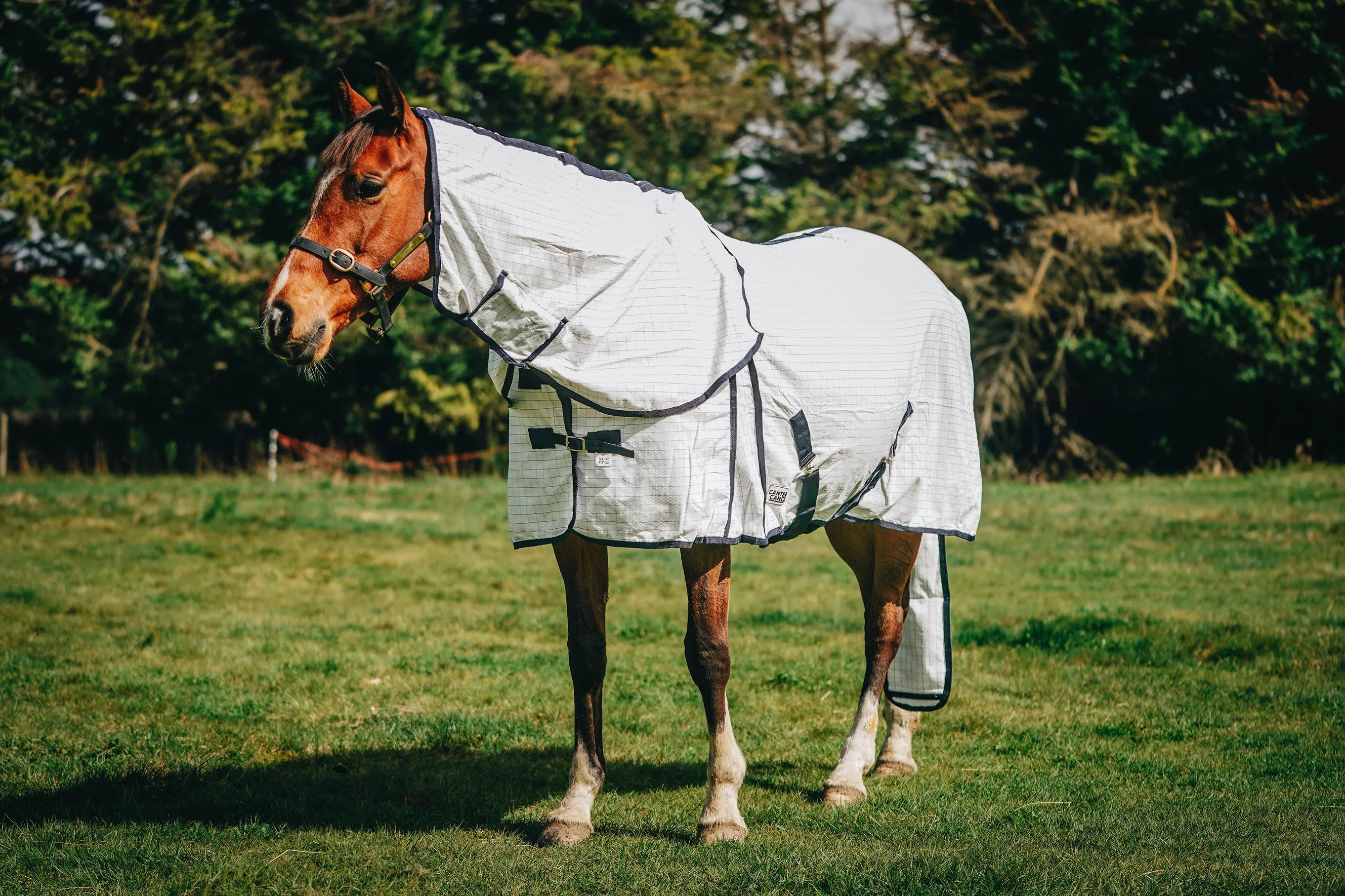 Summer Combo with Tail Bag (Pony)