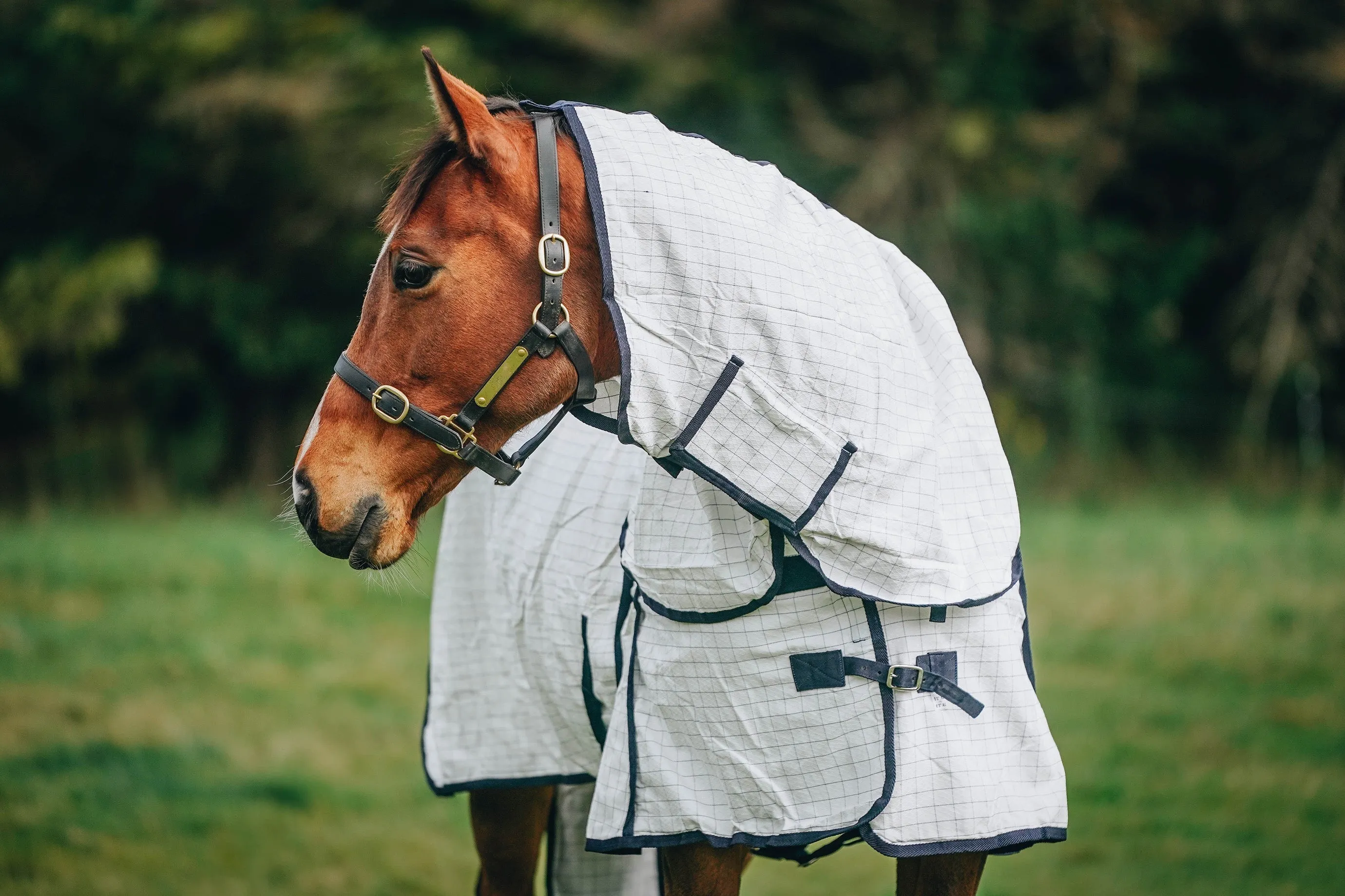 Summer Combo with Tail Bag (Pony)