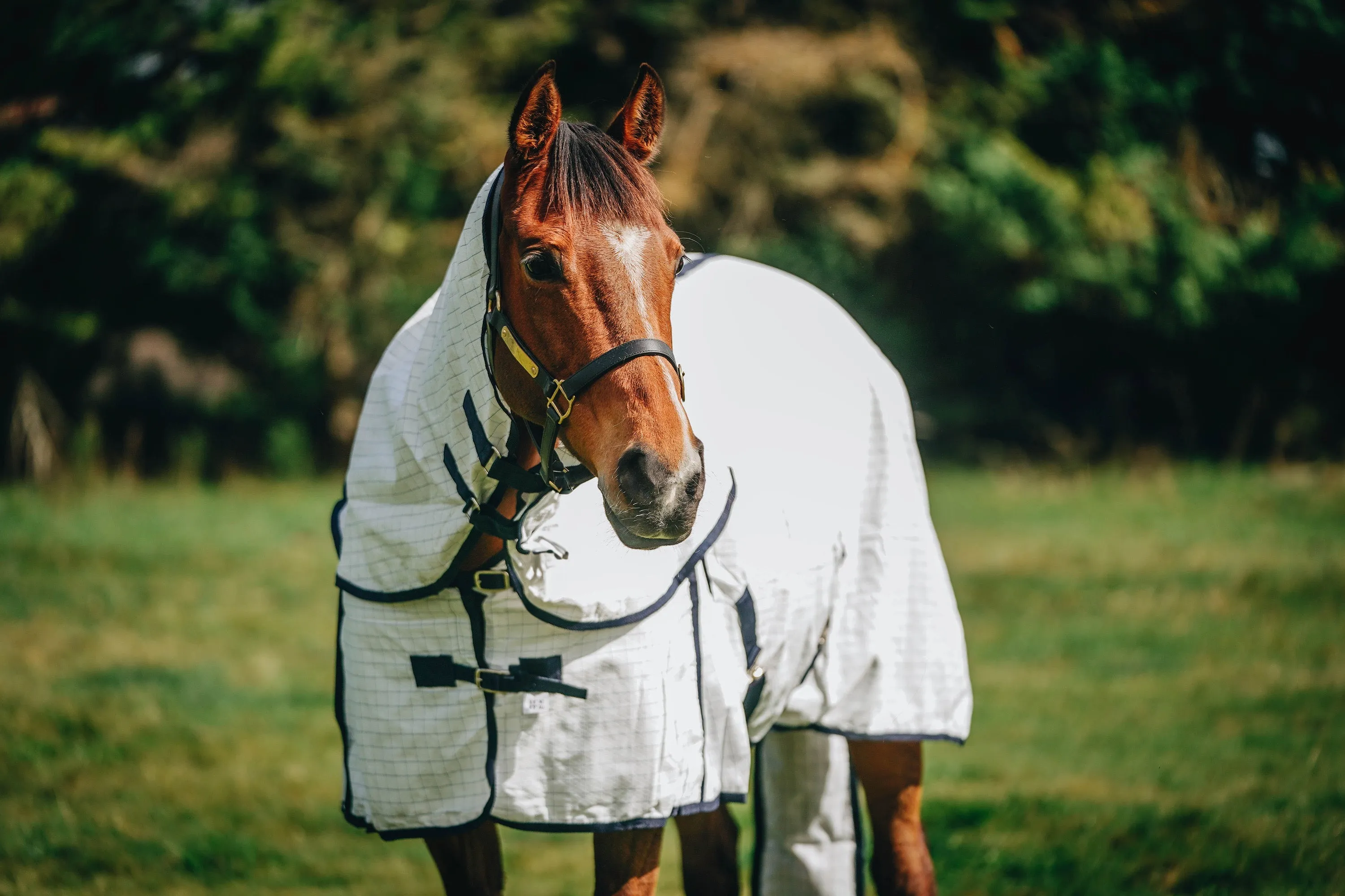 Summer Combo with Tail Bag (Pony)