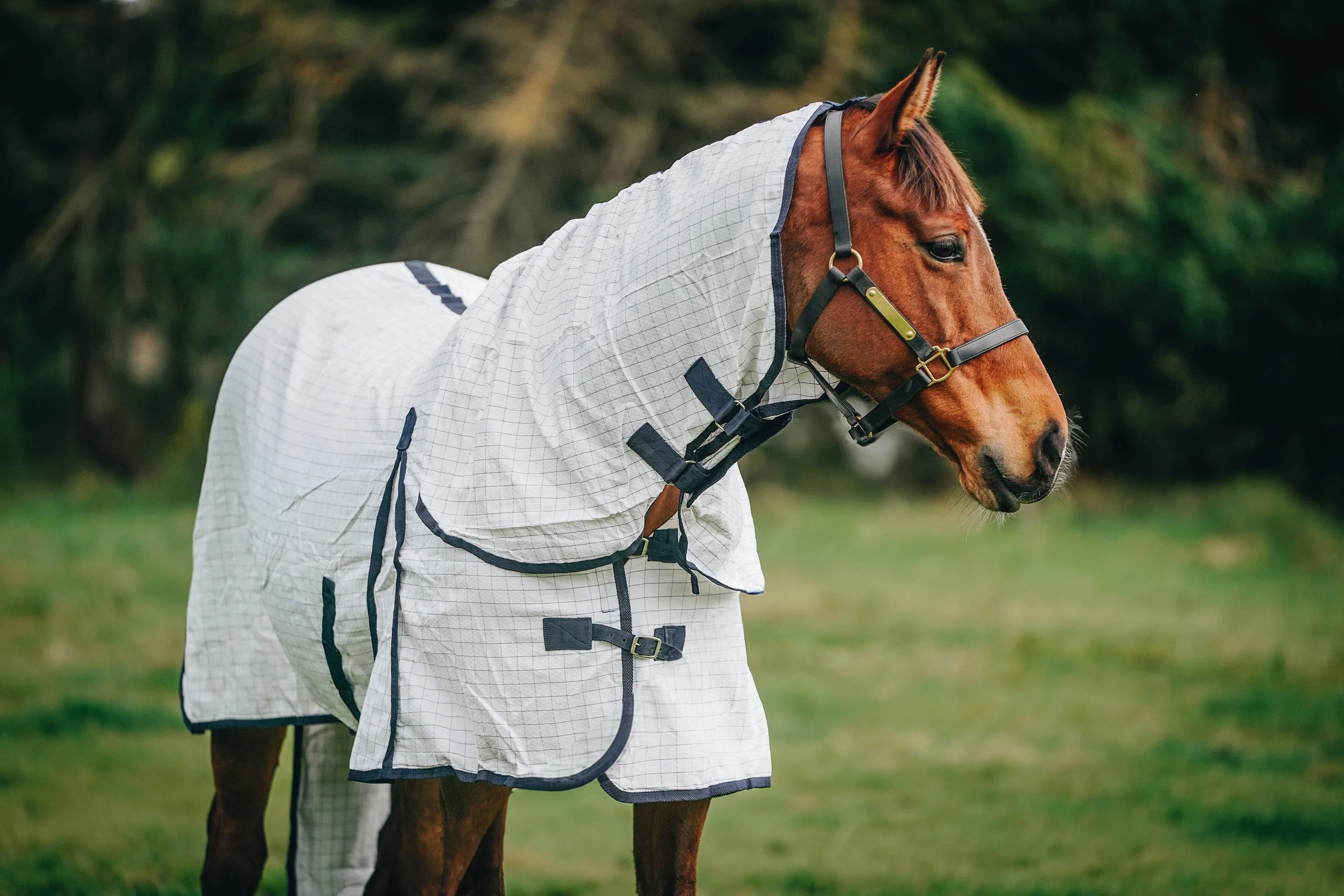 Summer Combo with Tail Bag (Pony)