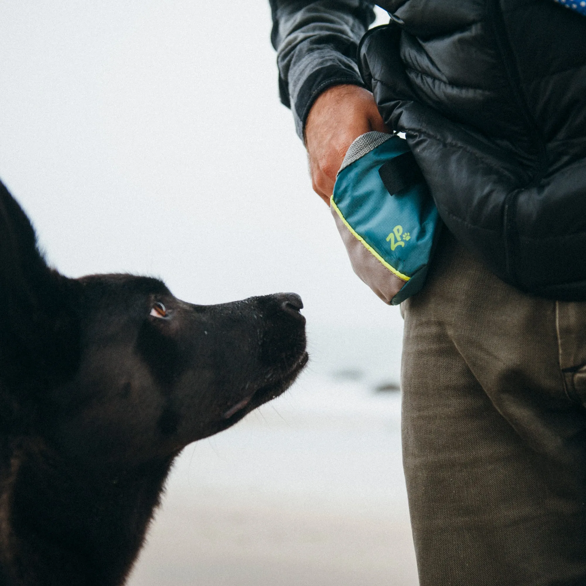 Zippy Paws Adventure Treat Bag